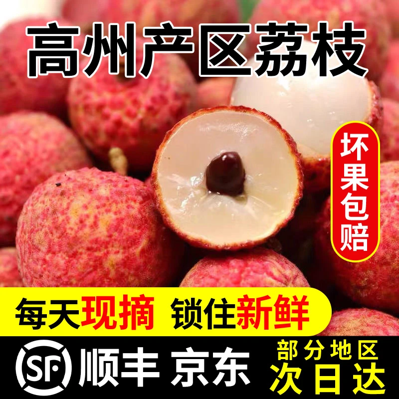 【顺丰京东直达】正宗高州白糖罂荔枝单果18g-27g大果 现摘新鲜水果