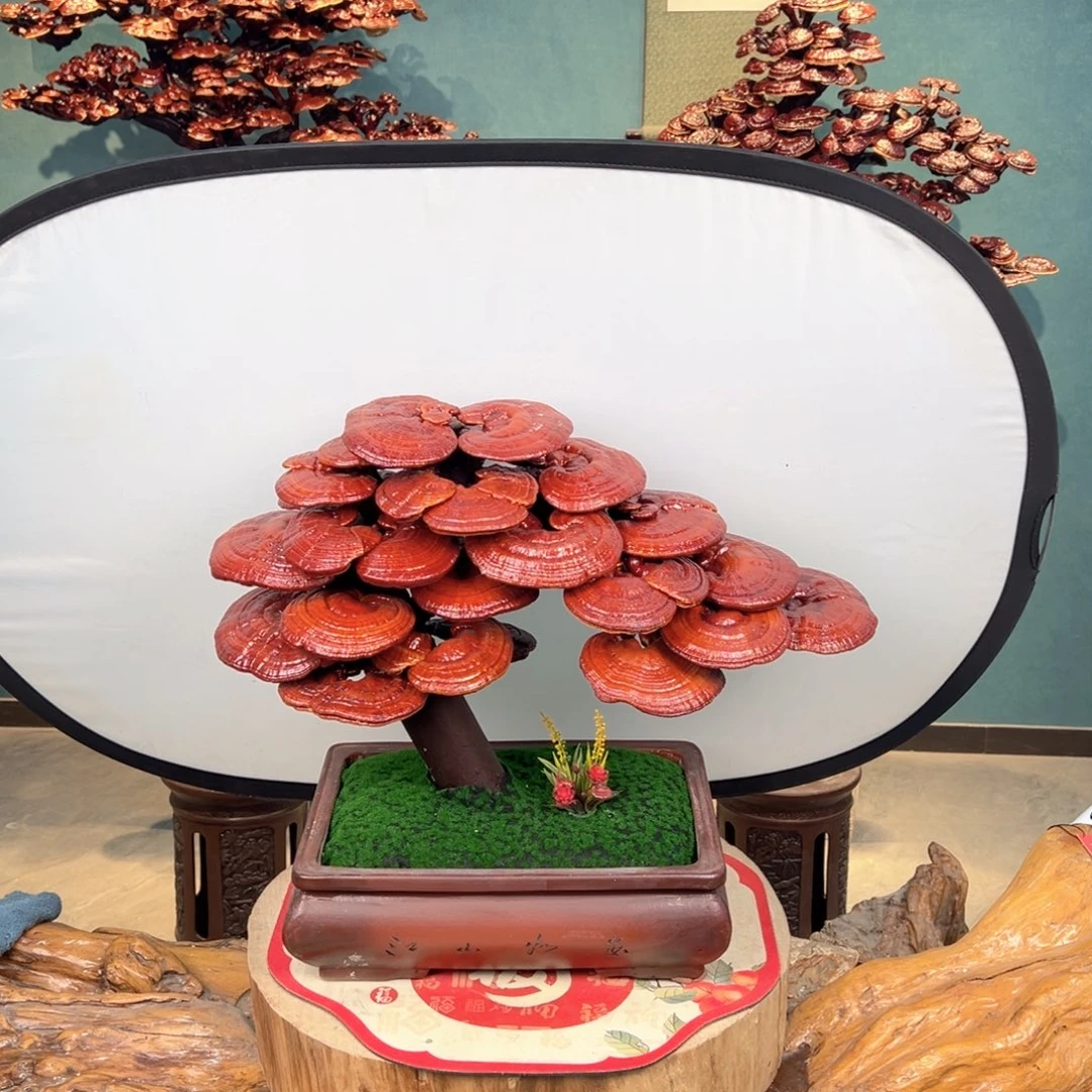 醉***多无花朵868888989889