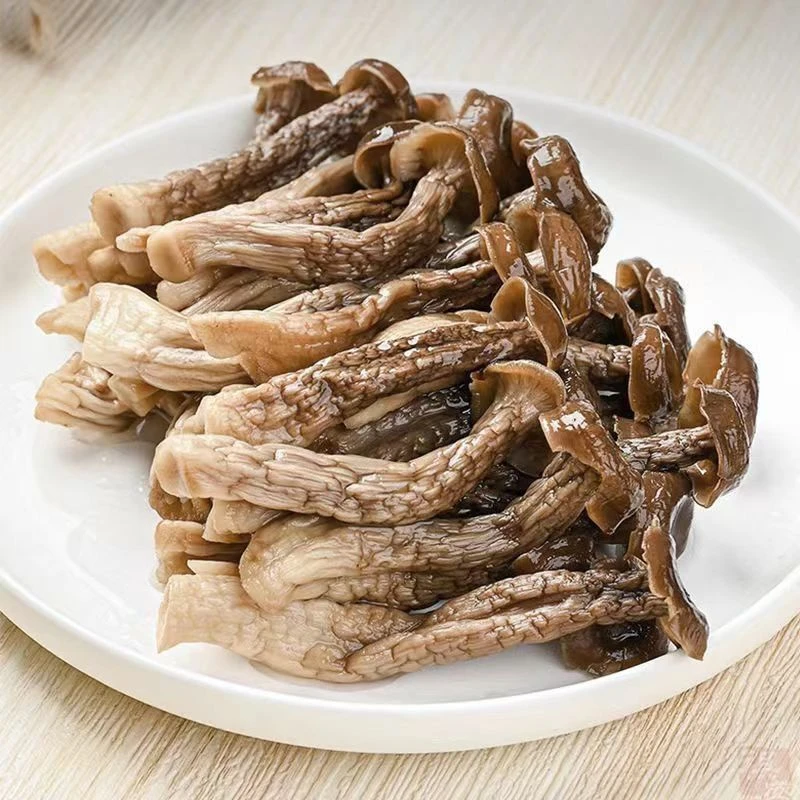 高山高海拔鹿茸菇 头茬伞小