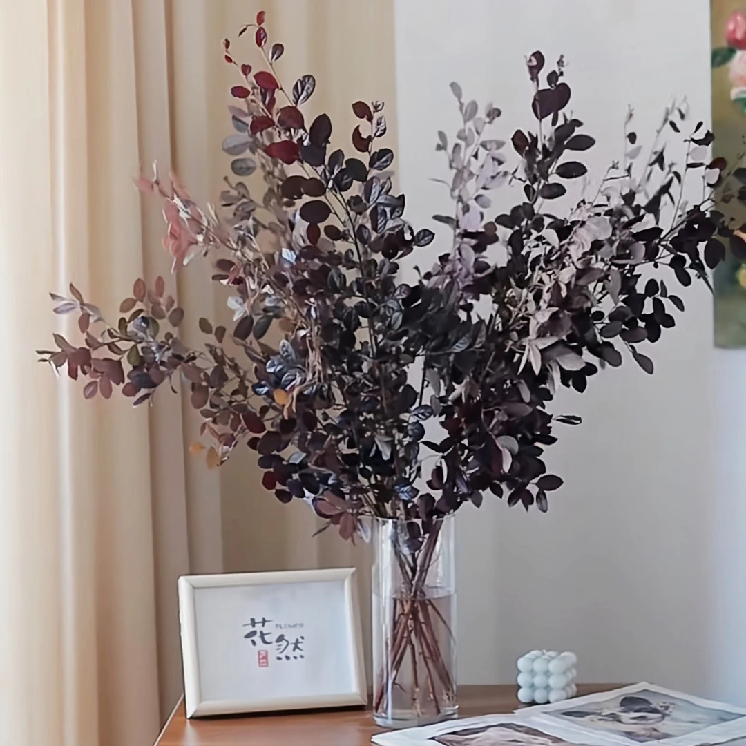 凑单福利【红继木】配草配花 全场任意两单包邮发顺丰冷链