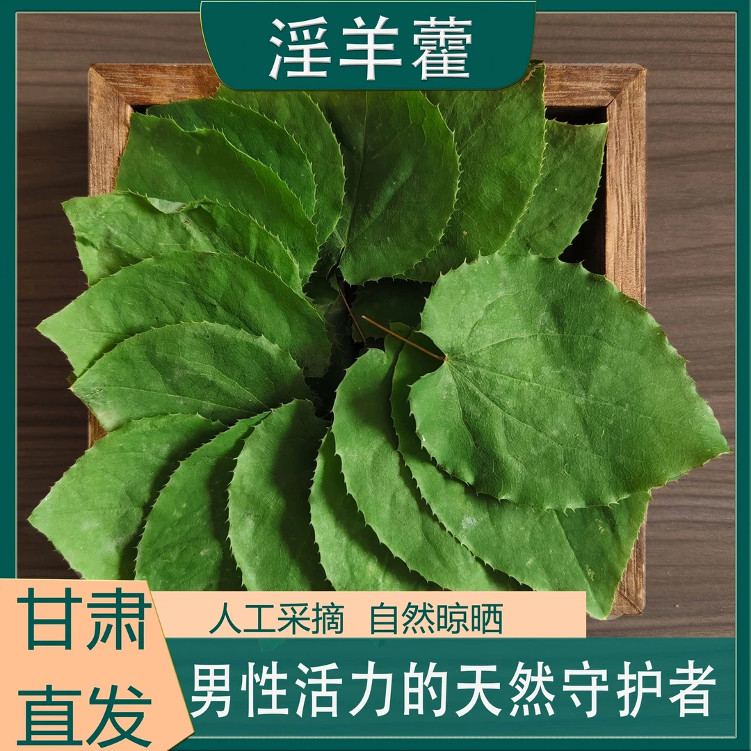 甘肃野生小圆叶三枝九叶草纯叶片泡水泡酒搭配枸杞黄芪