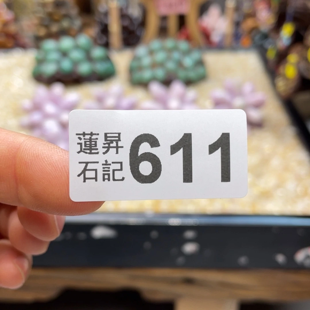 核桃木/黑胡桃（胡桃木）坏*坏611