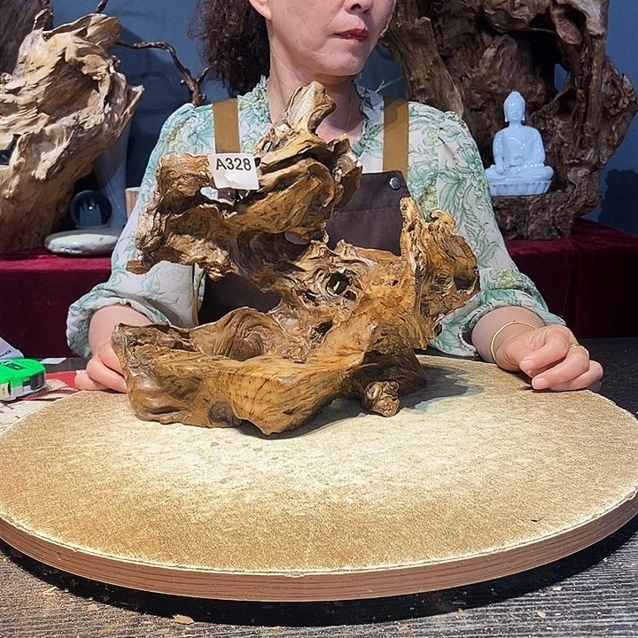 改****8328株木随行的小根艺