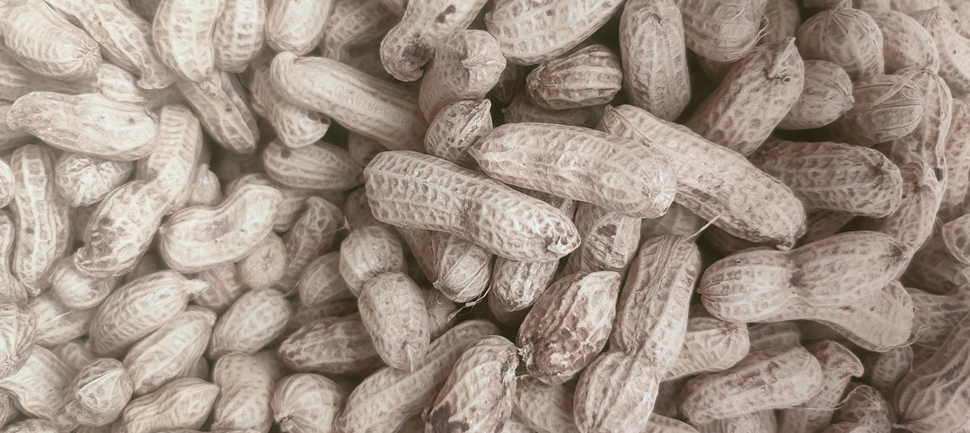 农村自家种的花生四川本地花生