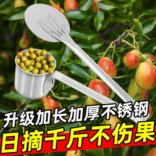 新型加厚不锈钢摘果器摘酸枣神器采果野果摘山枣采摘蓝莓摘小番茄