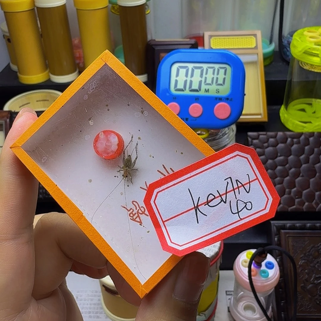 哈哈哈哈哈哈哈哈哈