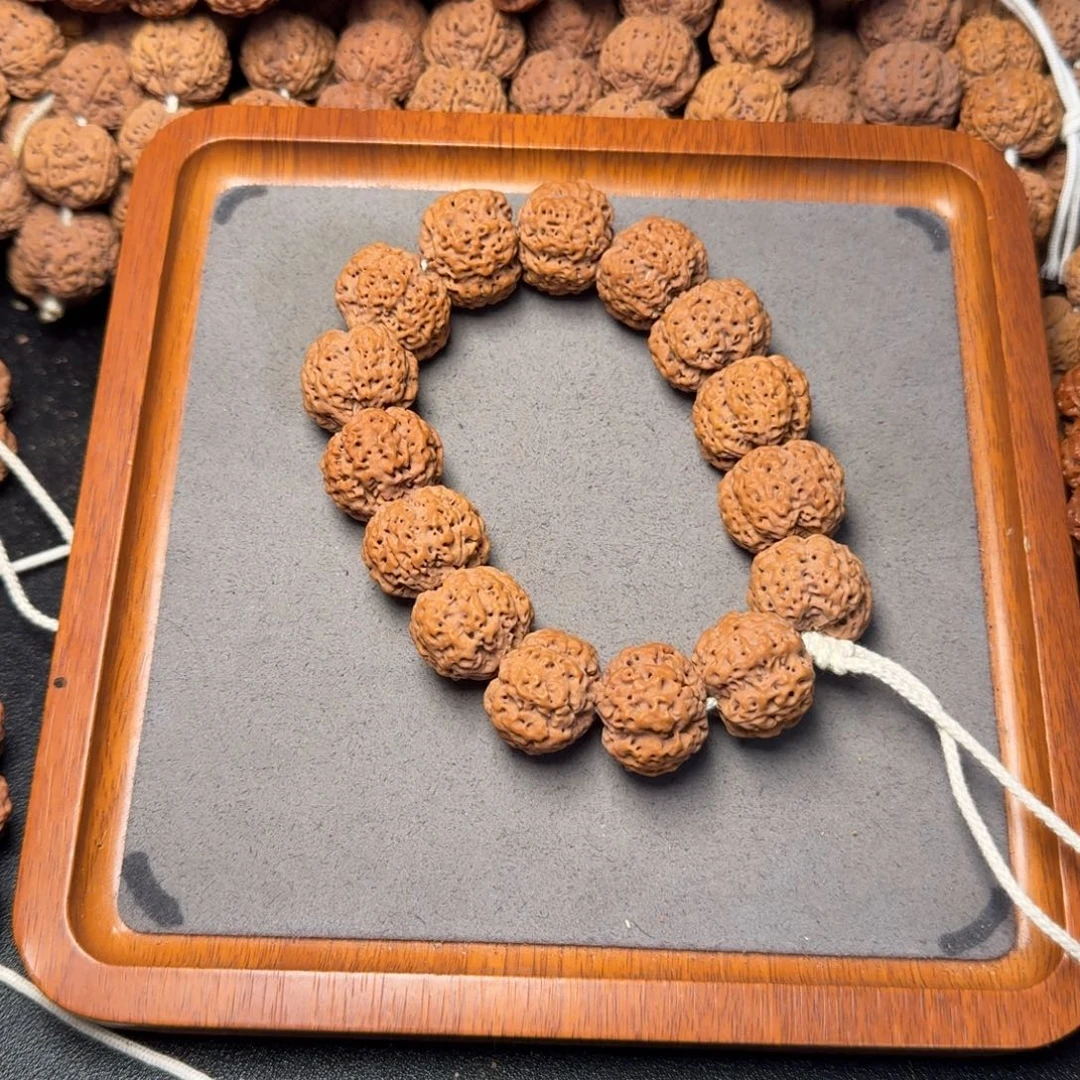 15号尼泊尔大金刚24五星蜂王