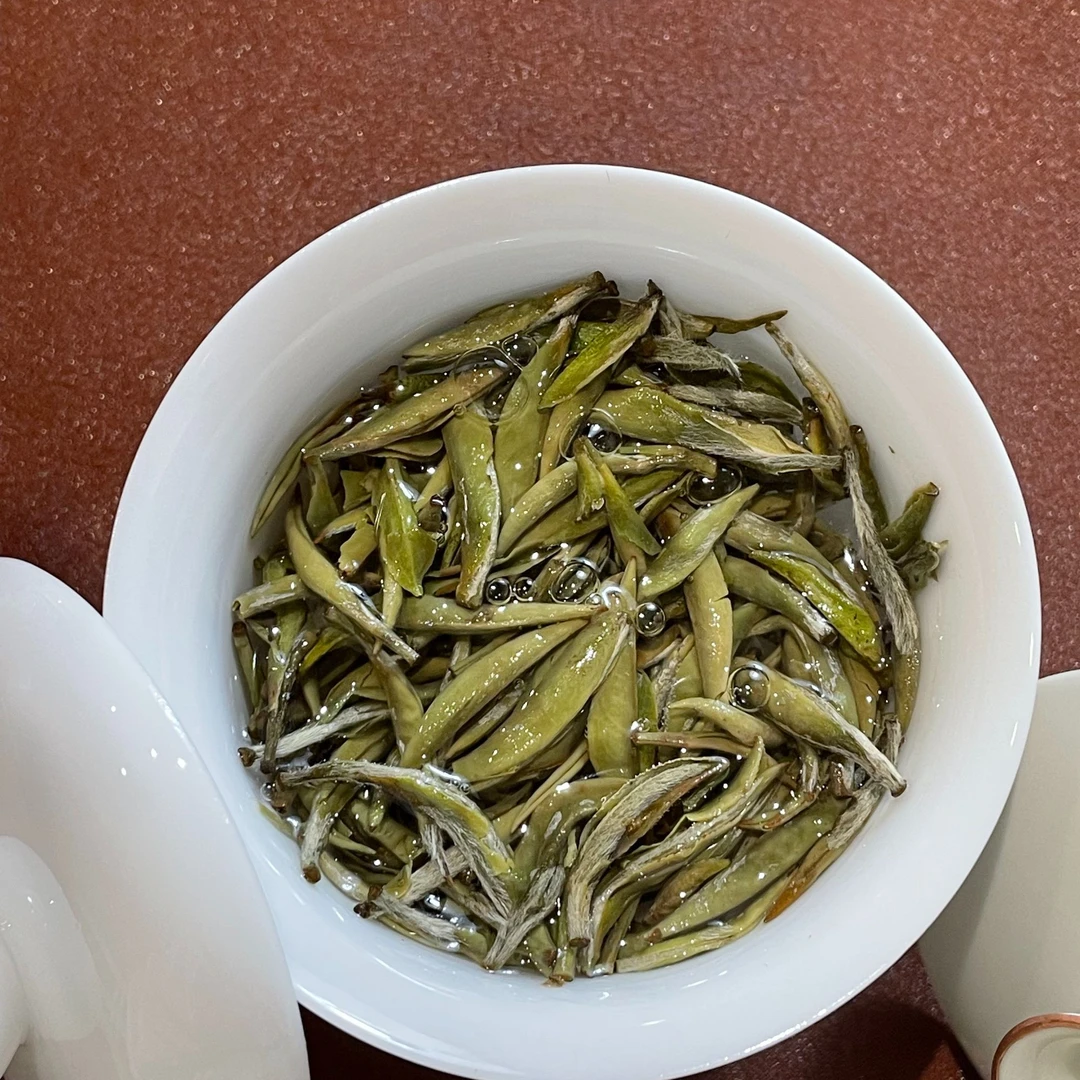 磻溪大洋山2023年头采白毫银针100g 高山炭焙