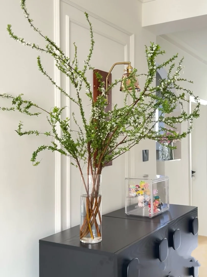 [鲜支雪柳花]一把   懒人植物好养耐养  云南基地鲜花 直发