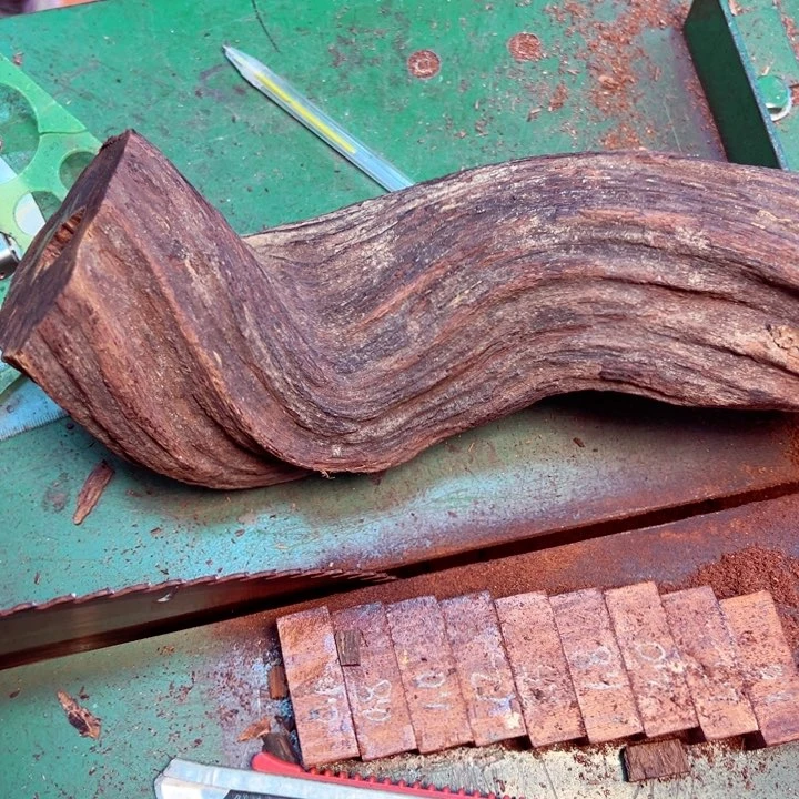 藤类王*元缅甸小叶降真香