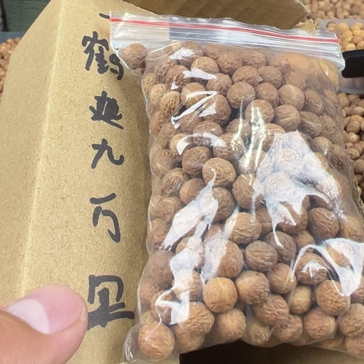 一***里吊坠凤眼菩提酸枣核散籽