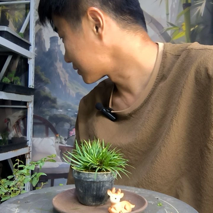 L****靖中青园艺一物一拍188
