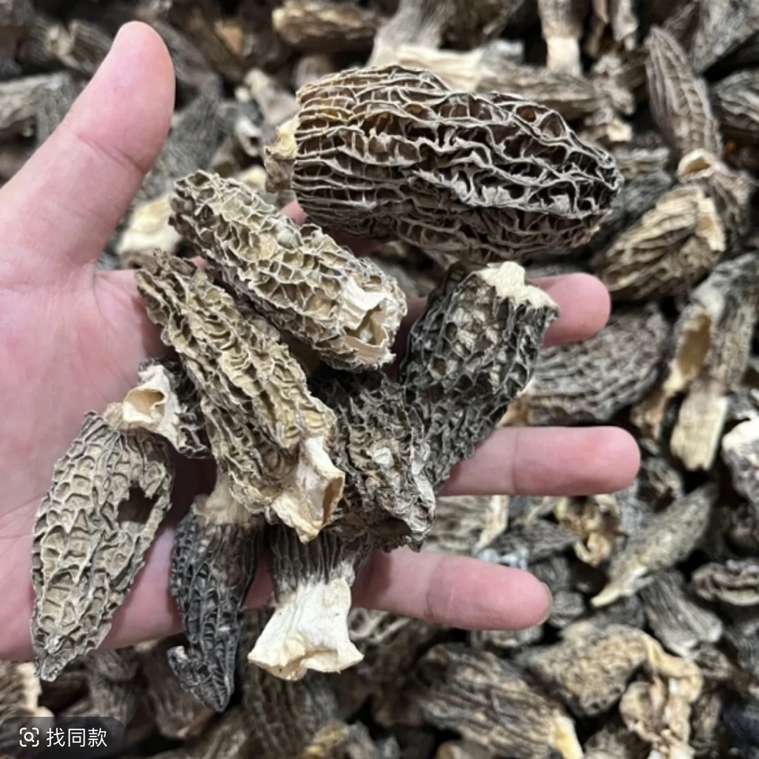 【鸡哥专属】丑羊肚菌 【虾干福利】