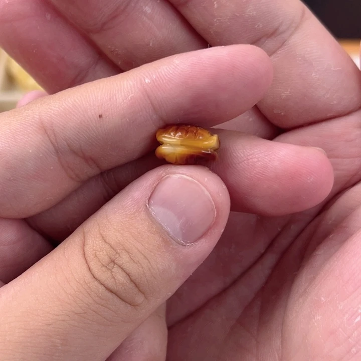 未镶嵌琥珀珠宝奇石