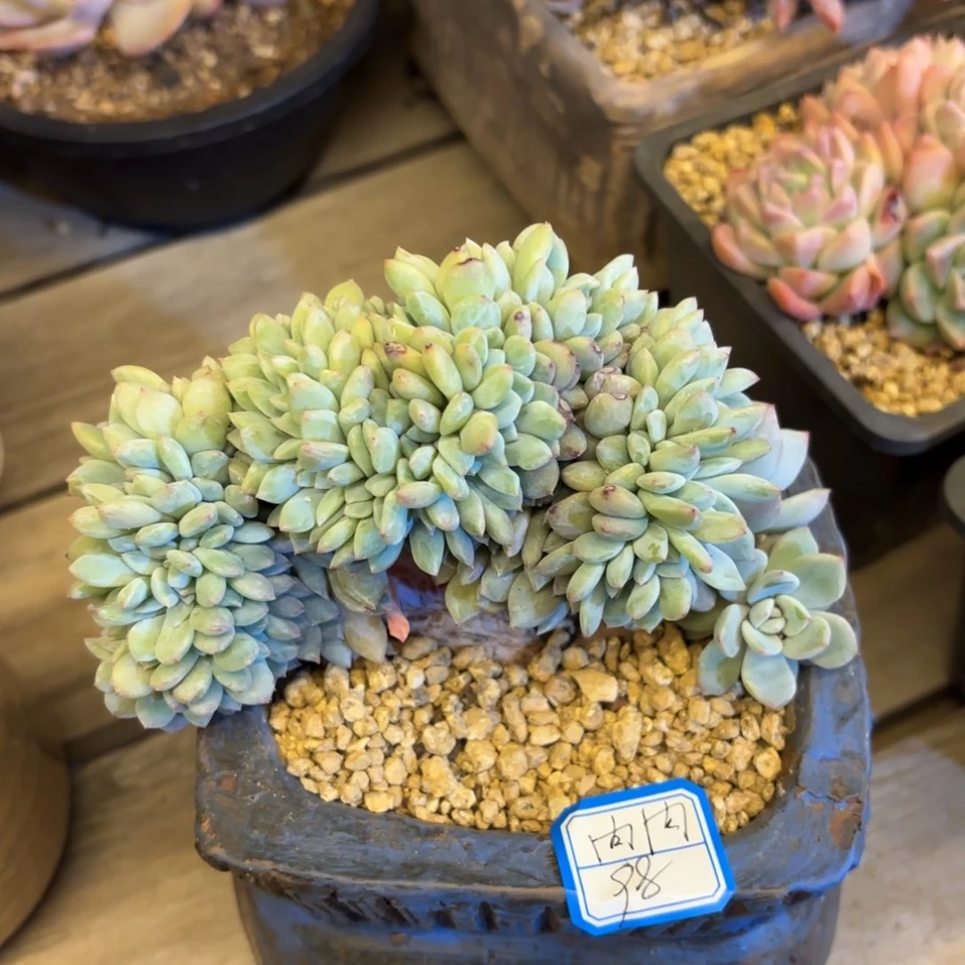 1111111111111111111111