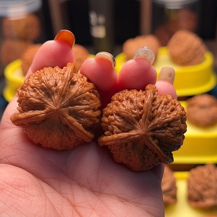 文玩核桃吊坠血麒麟三棱 全品