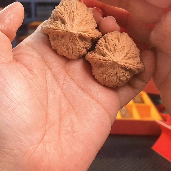 把件文玩核桃泥鳅背41尺
