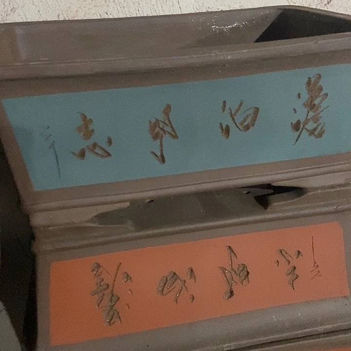 50花盆花盆花盆花盆花盆花盆