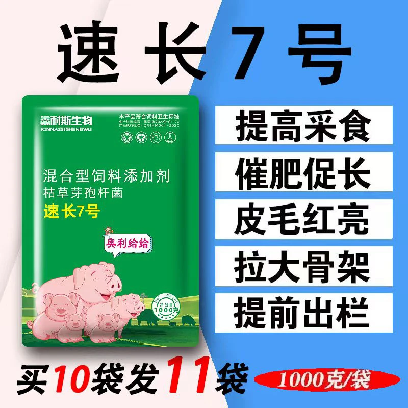 速长7号肥猪长得好一包拌料1000斤生猪价格今日最新价格