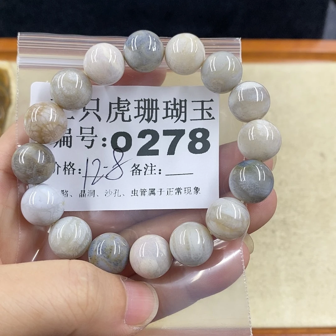 硅化珊瑚（珊瑚玉）1未镶嵌女***娆