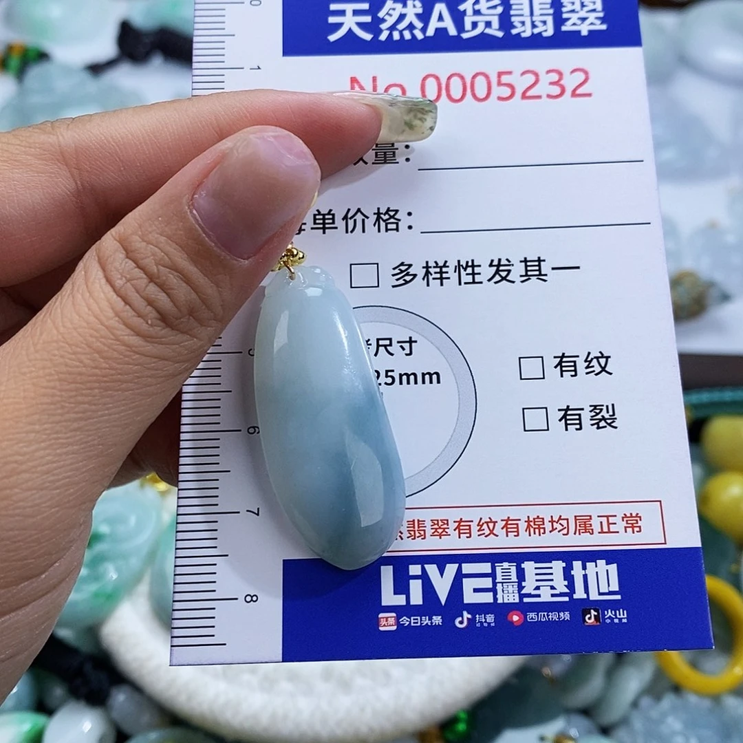翡翠未镶嵌颈饰5232