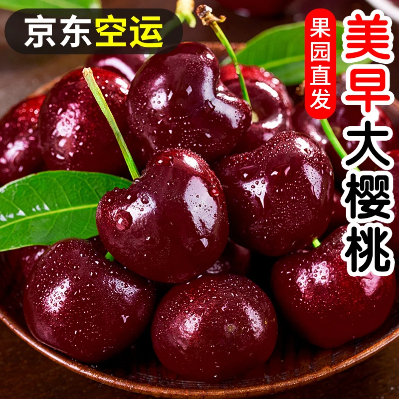 【京东空运冷链】烟台美早樱桃新鲜水果车厘子5斤当季孕妇包邮国产