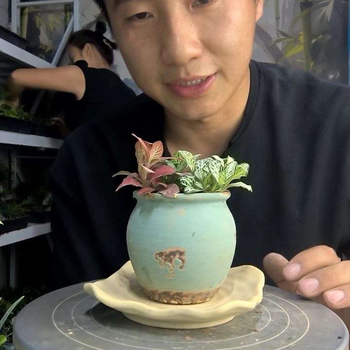 ?****࿐中青园艺一物一拍108