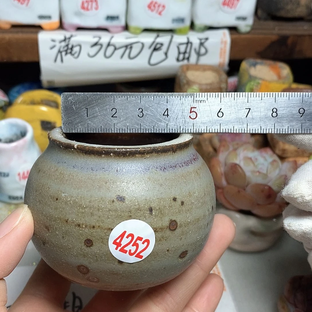 红陶拍5送一个小