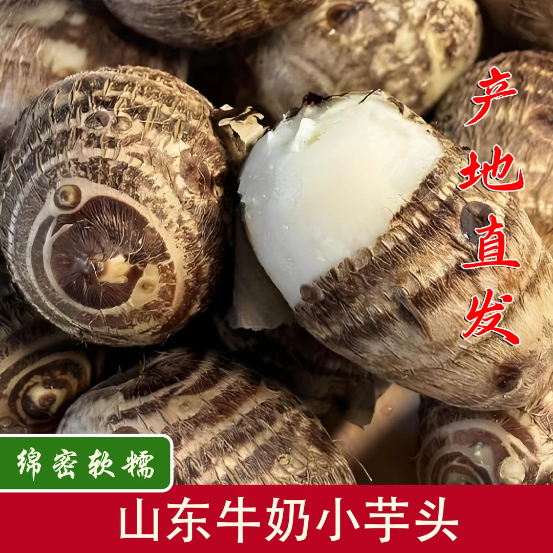 山东2025新鲜小芋头山东牛奶毛芋小香芋头粉糯芋头产地直发