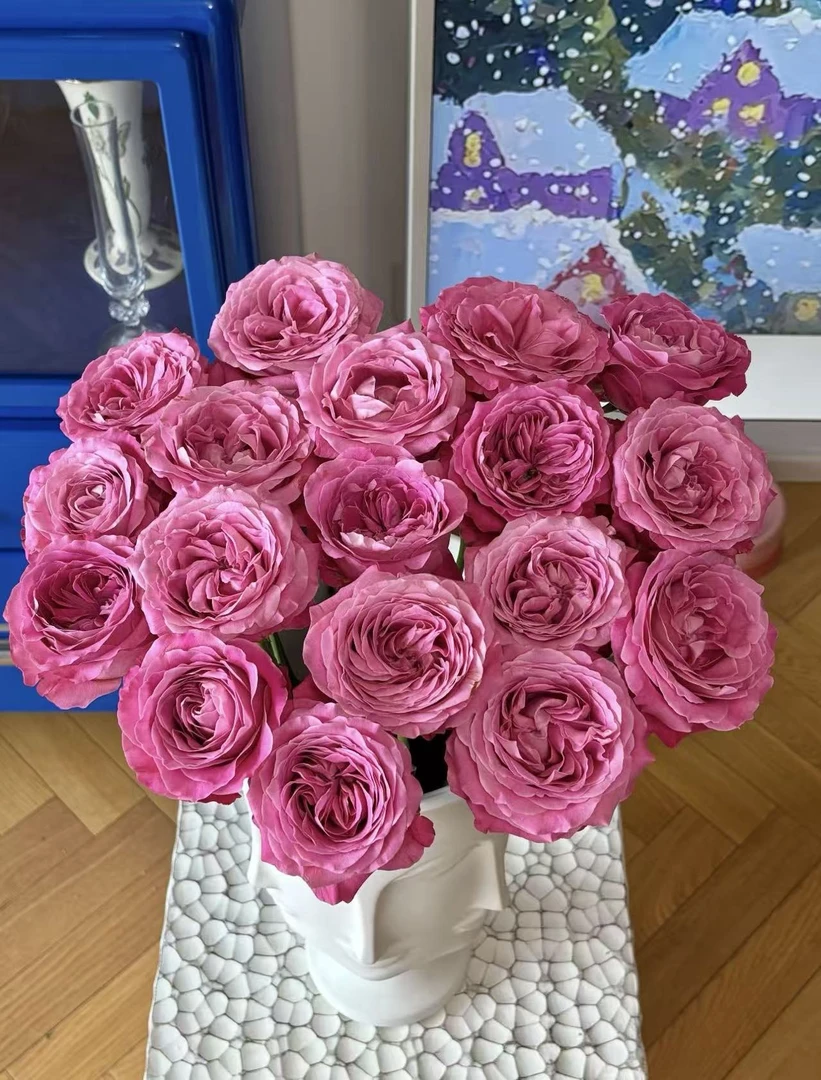 【陌上花开】长相思-单头玫瑰