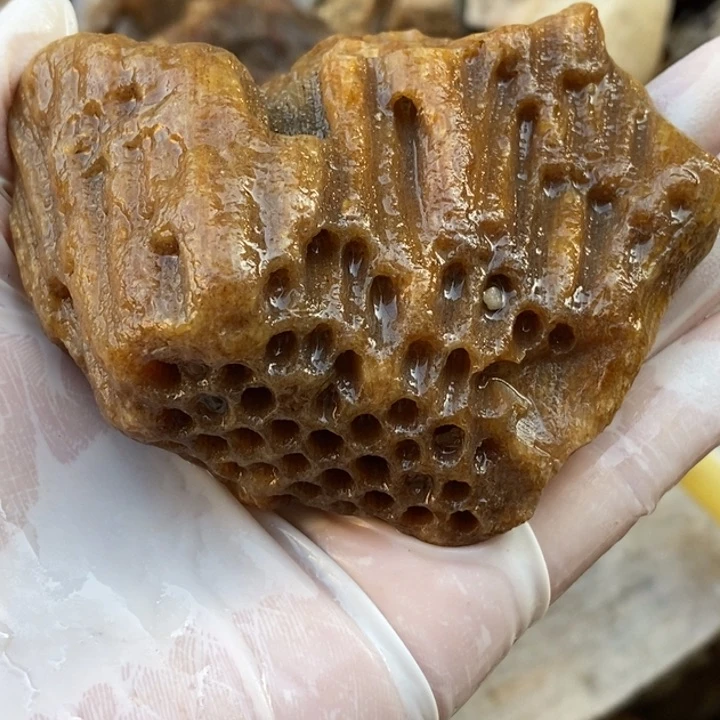 【闪购商品】未镶嵌珊瑚玉硅化玉