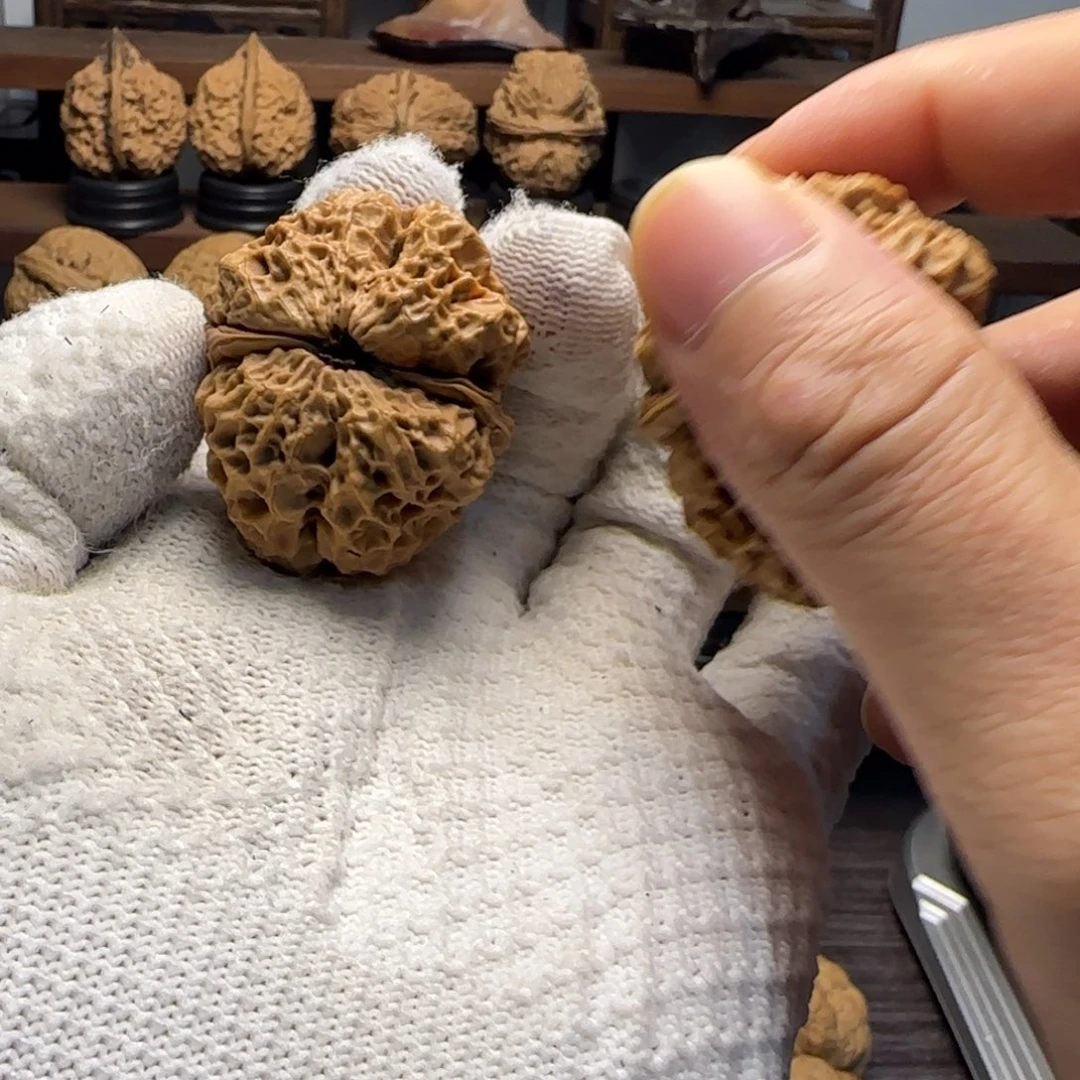 文玩核桃把件蛮荒古蟾