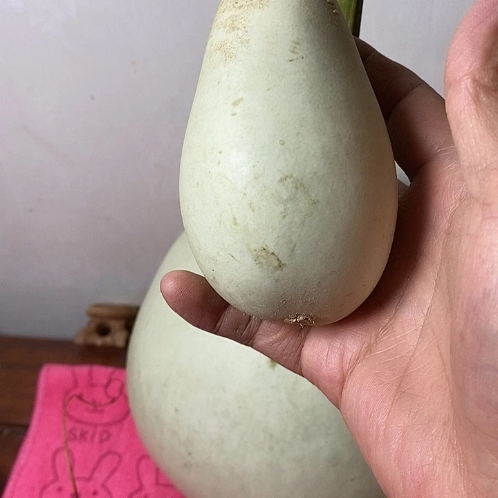 雾***i青皮手把件葫芦摆件