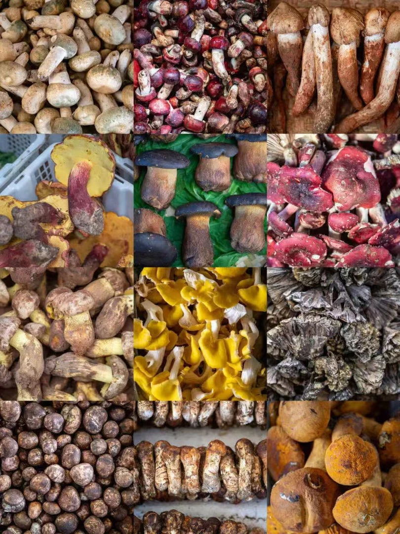 【三姐家】优质土特产临时链接2