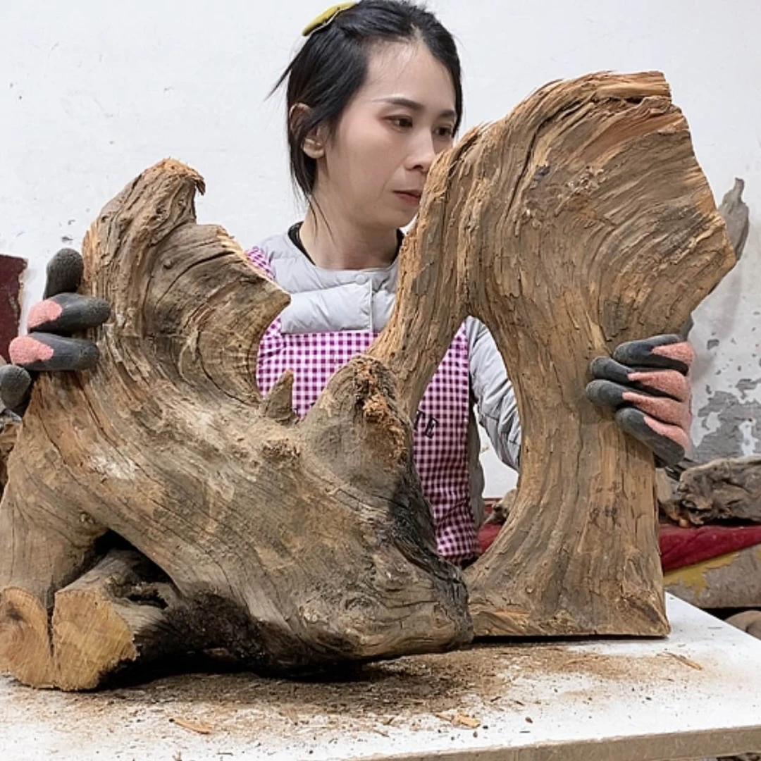 【闪购商品】柏木随*我们都是好孩子