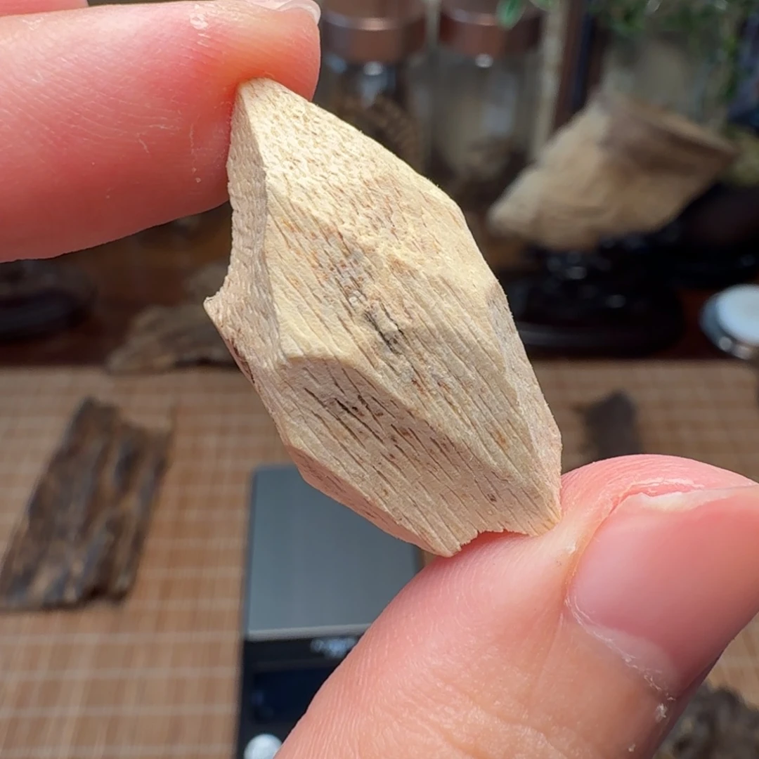 骏***原沉香惠东瓜子胚料子