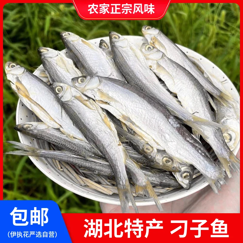 湖北特产翘嘴鱼腌制刁子鱼干货洪湖淡水河鱼腌制风干咸鱼干包邮