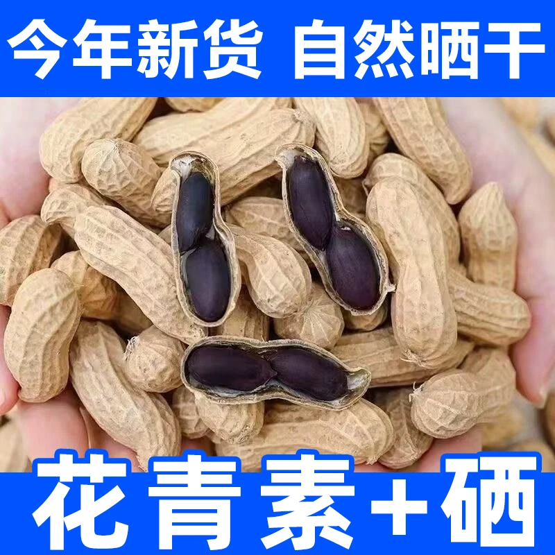 云南富硒带壳黑花生营养健康可生熟食用坚果零食带壳颗粒黑花生