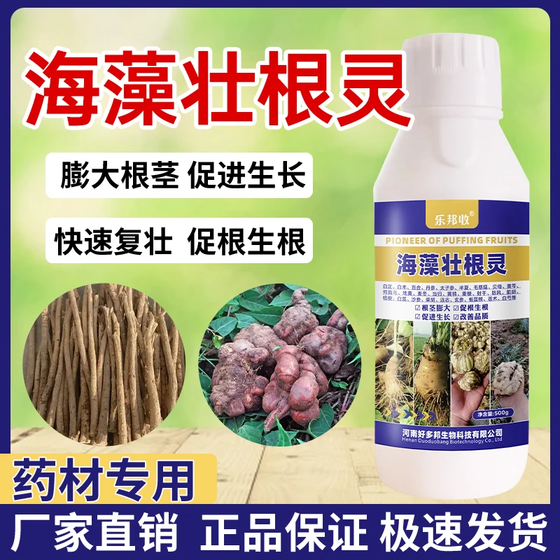 药材海藻壮根灵药材生根壮苗膨大人参丹参白芷地黄白术等药材专用