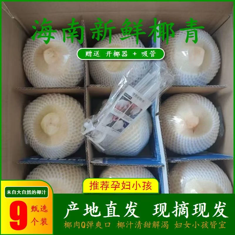 海南野生新鲜椰青孕妇水果精选9个装大果天然口感微酸甜坏果包赔