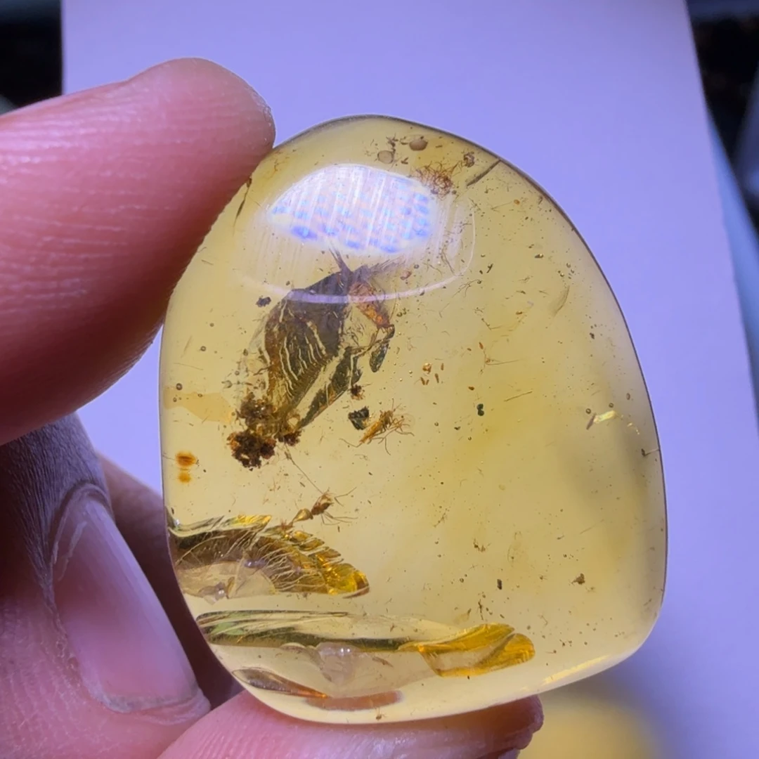 琥珀未镶嵌裸石3号