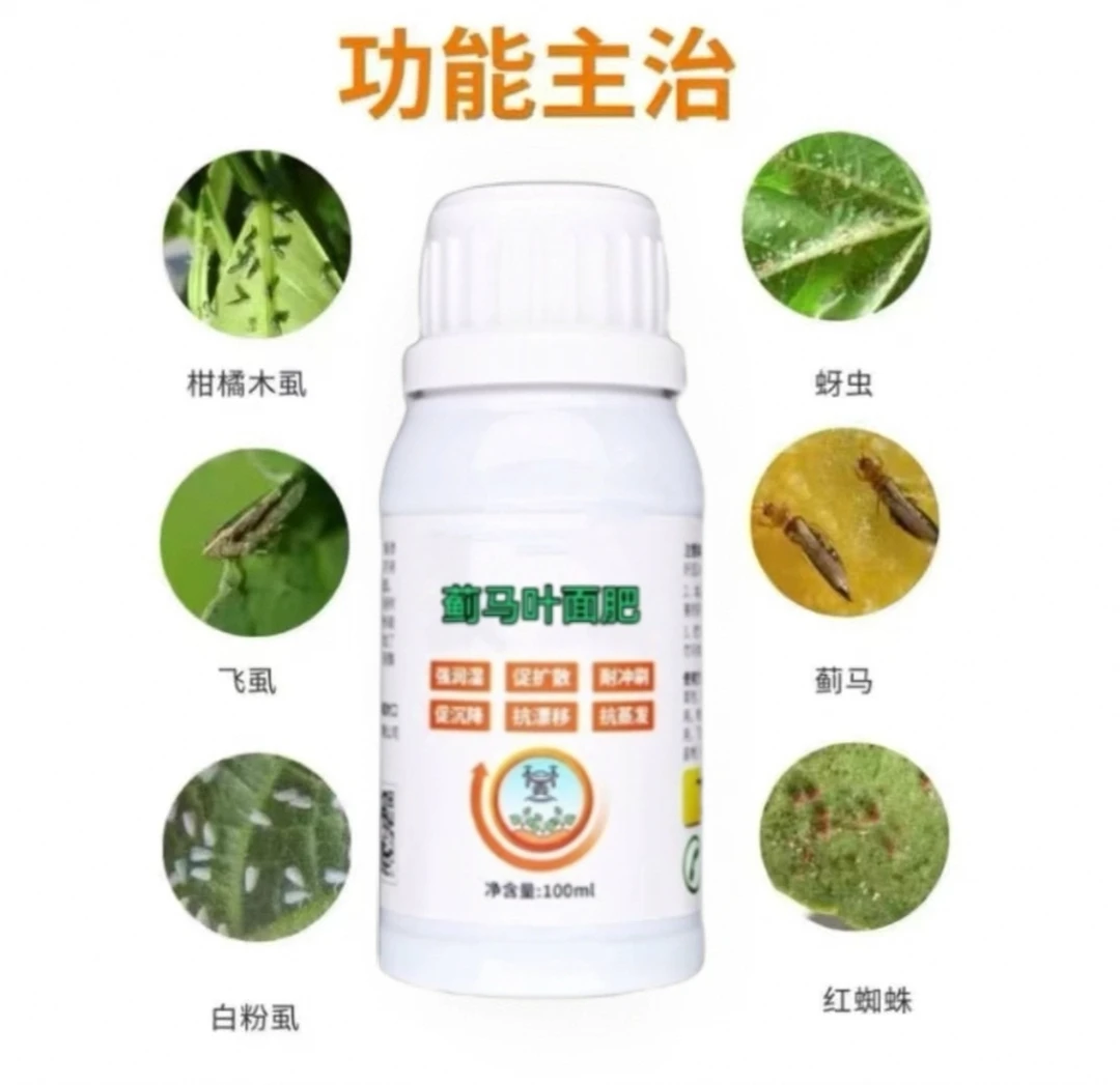 蓟马肥料黄瓜辣椒西红柿茄子各种作物