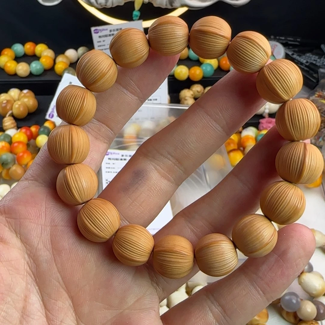 菩提根/象牙果手串全品拉丝猴头鲨鱼背一条