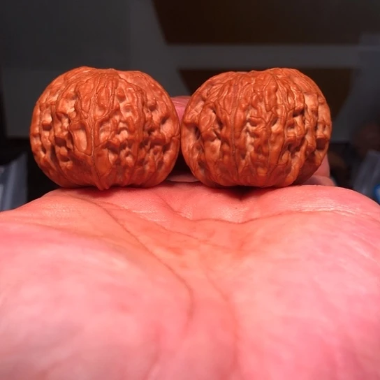 有机玻璃39全品小正磨盘