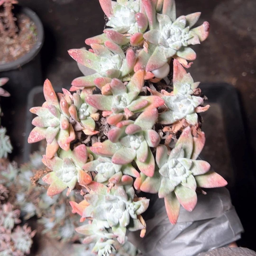 7201哈哈哈哈哈哈哈哈