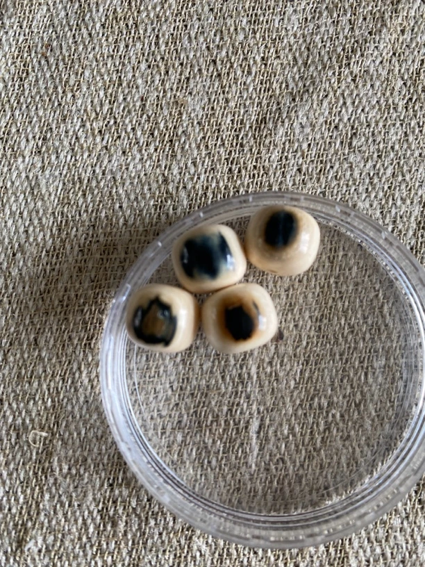 猛犸象牙12/11蓝眼单珠4252