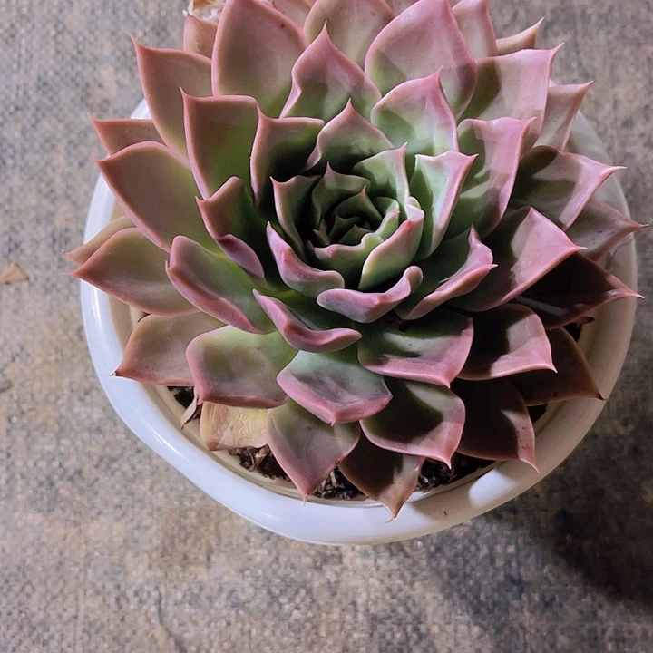 墨*岩0000000000000015