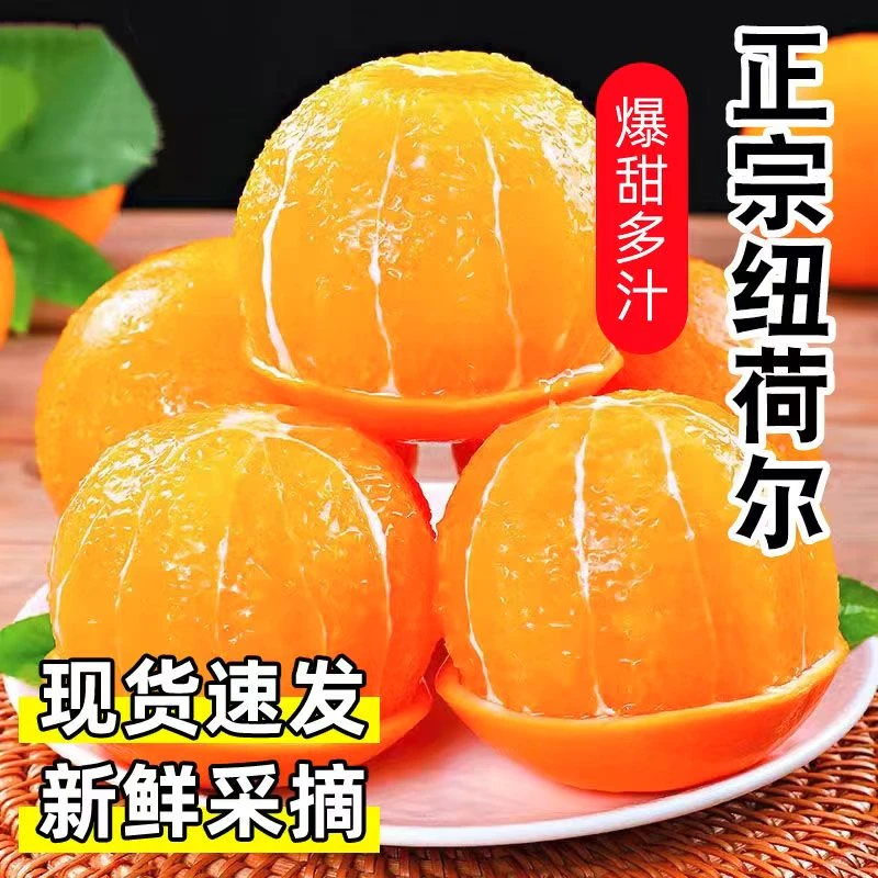 【高山脐橙】四川纽荷尔齐橙香甜多汁新鲜水果