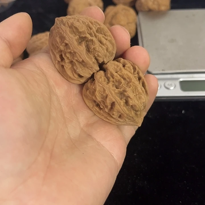 把件文玩核桃37左右钢炮粗筋，编号0013