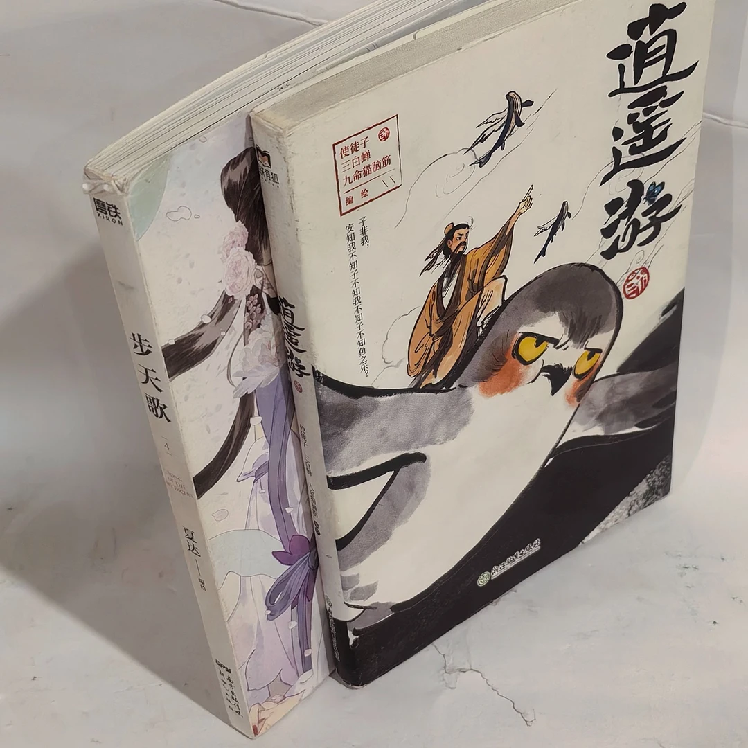 133逍遥游步天歌2册